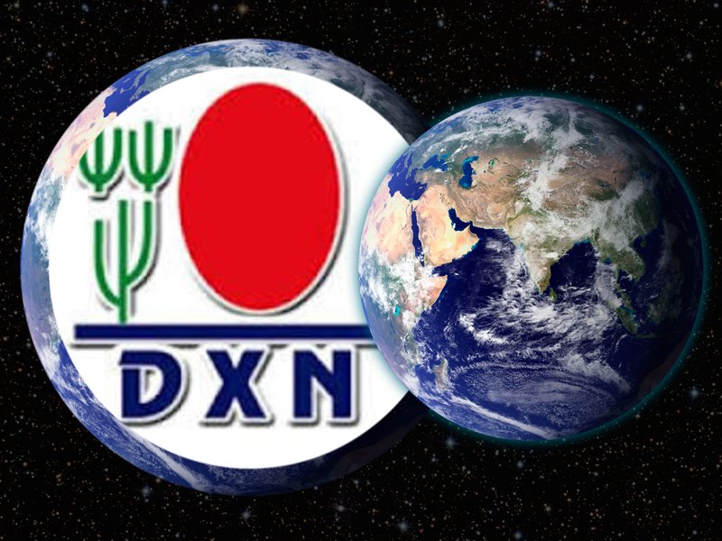 DXN üzlet, a Te üzleted