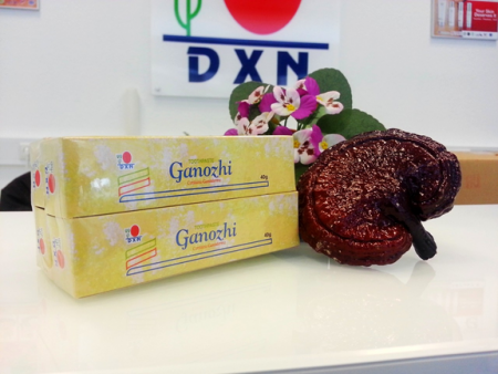 Ganozhi fogkrém (4x40g)