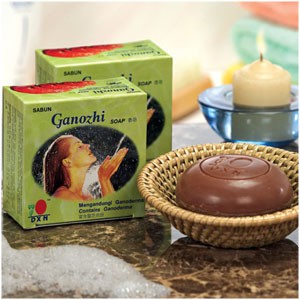 Ganozhi Szappan